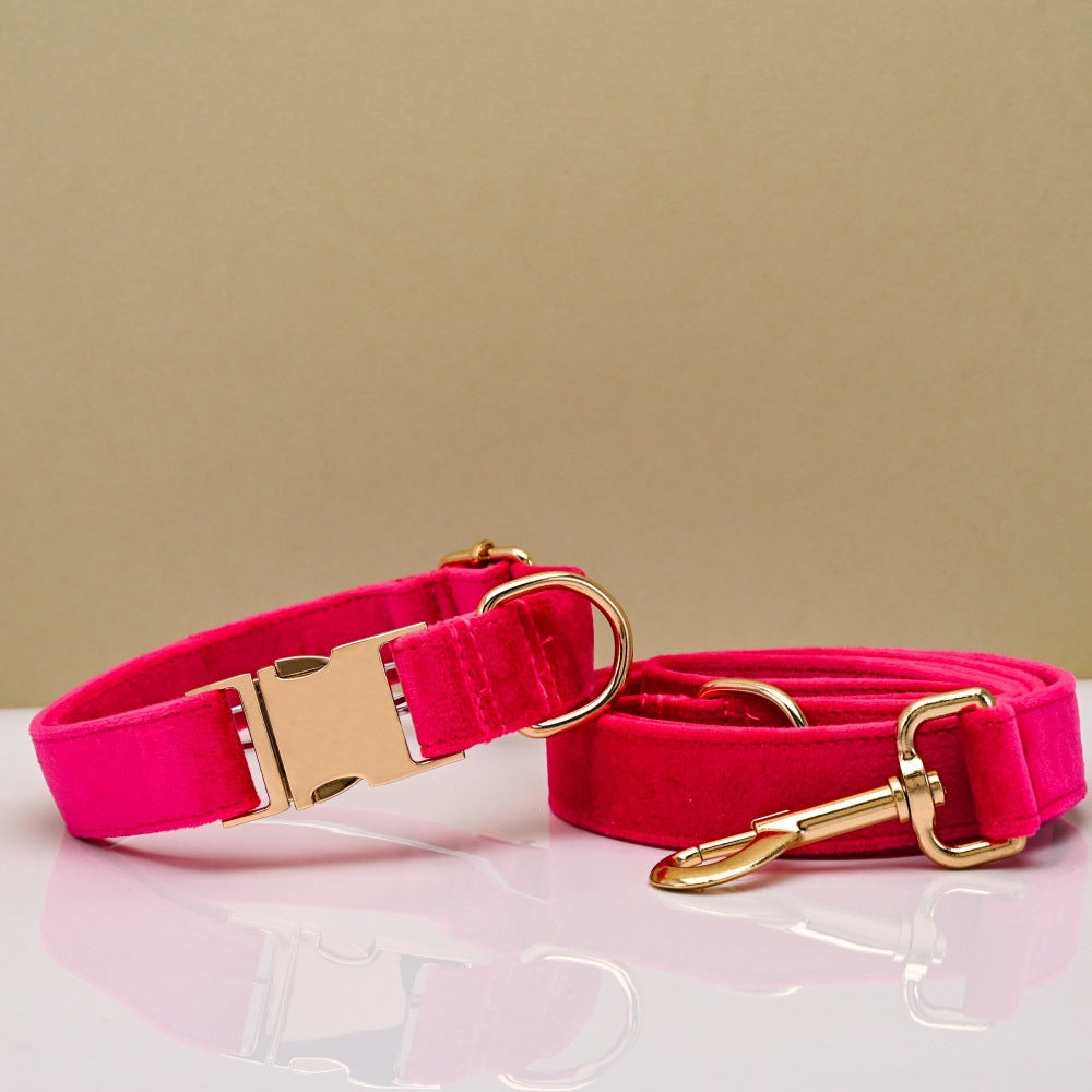 Pet Dog Collar New