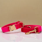 Pet Dog Collar New
