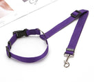 Pet Supplies, Pet Safety Belt