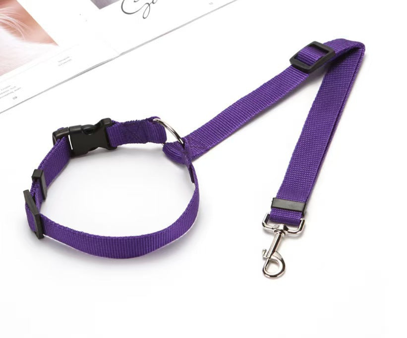 Pet Supplies, Pet Safety Belt