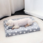 New Pet Flannel Bubble Velvet