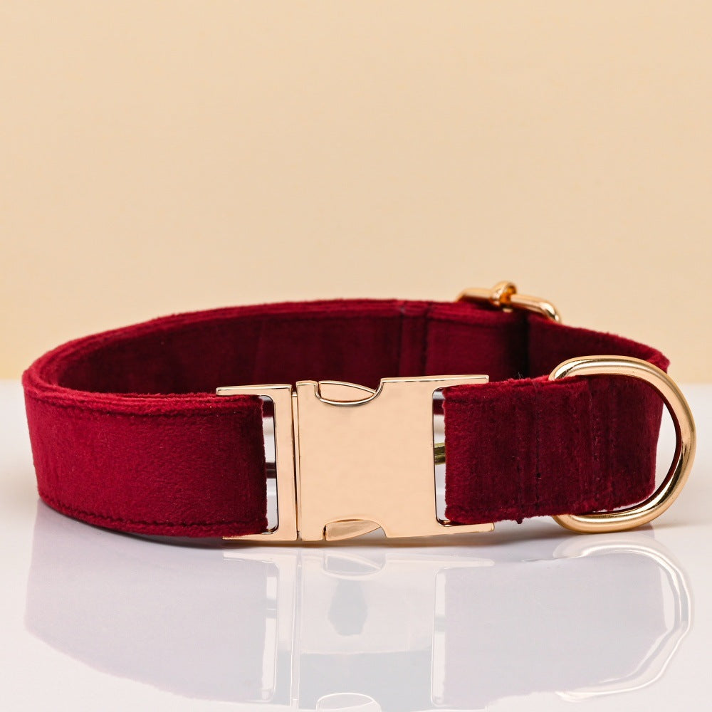 Pet Dog Collar New