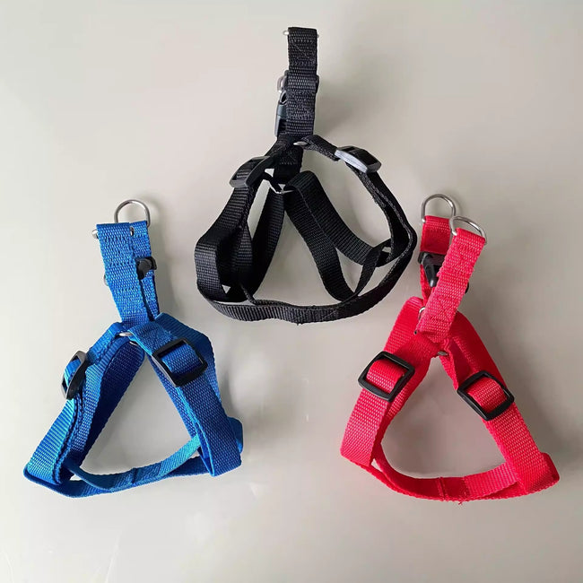 Dog Harness Hover Image