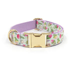 Printed Leash Pet Collar