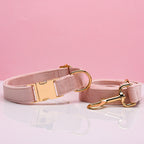 Pet Dog Collar New