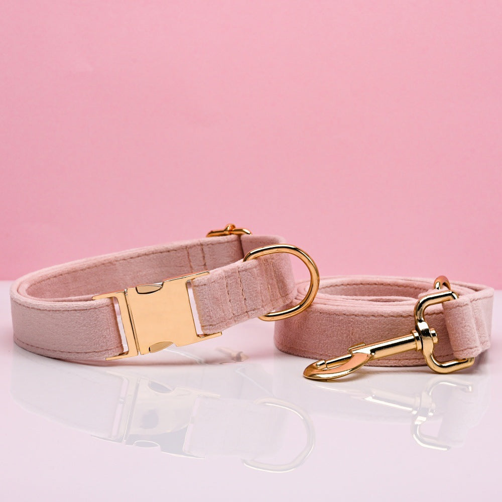 Pet Dog Collar New