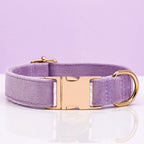 Pet Dog Collar New