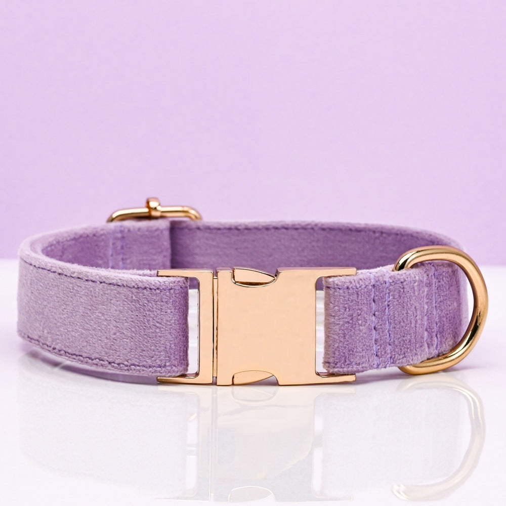 Pet Dog Collar New