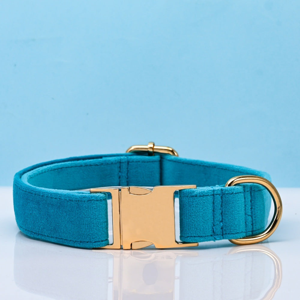 Pet Dog Collar New