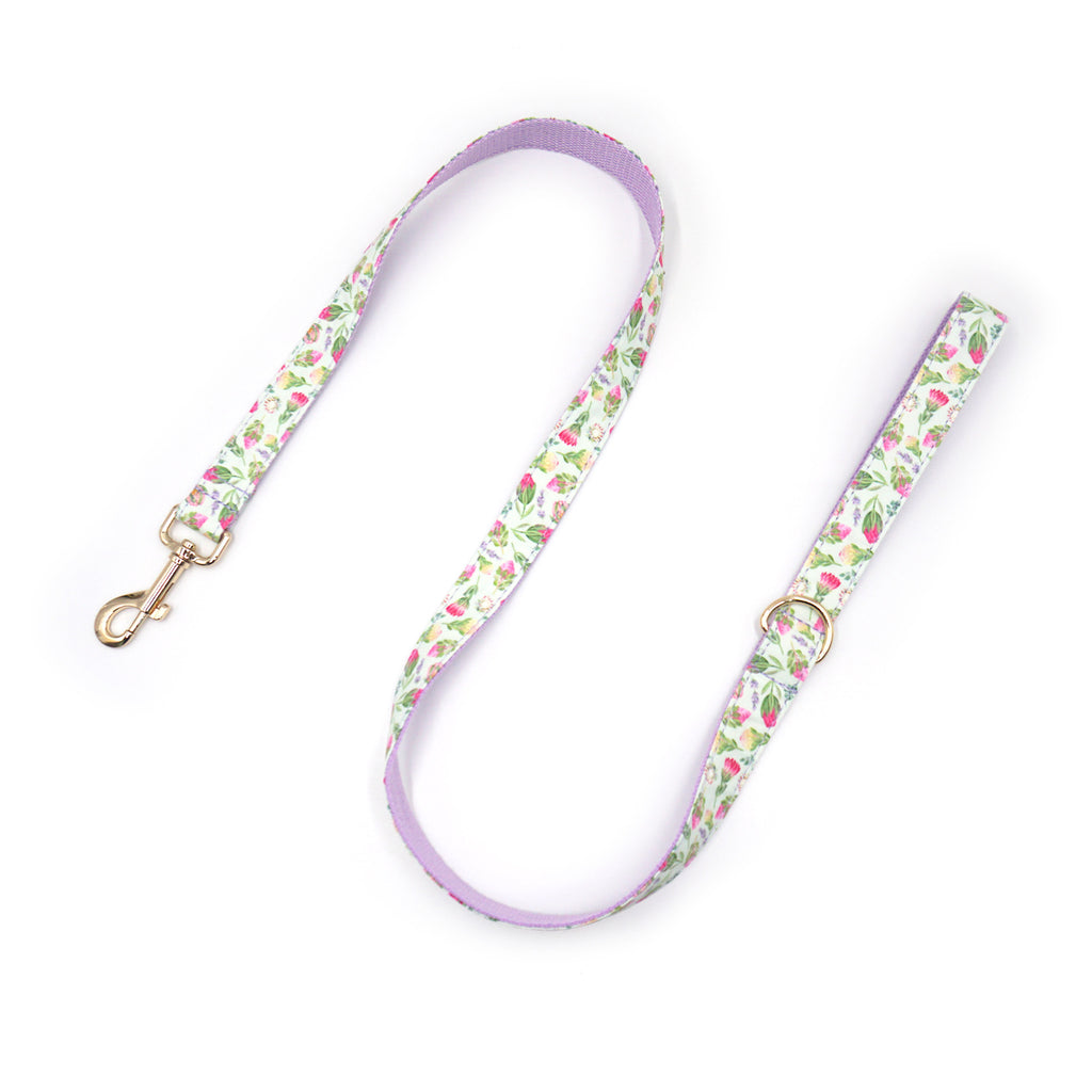 Printed Leash Pet Collar
