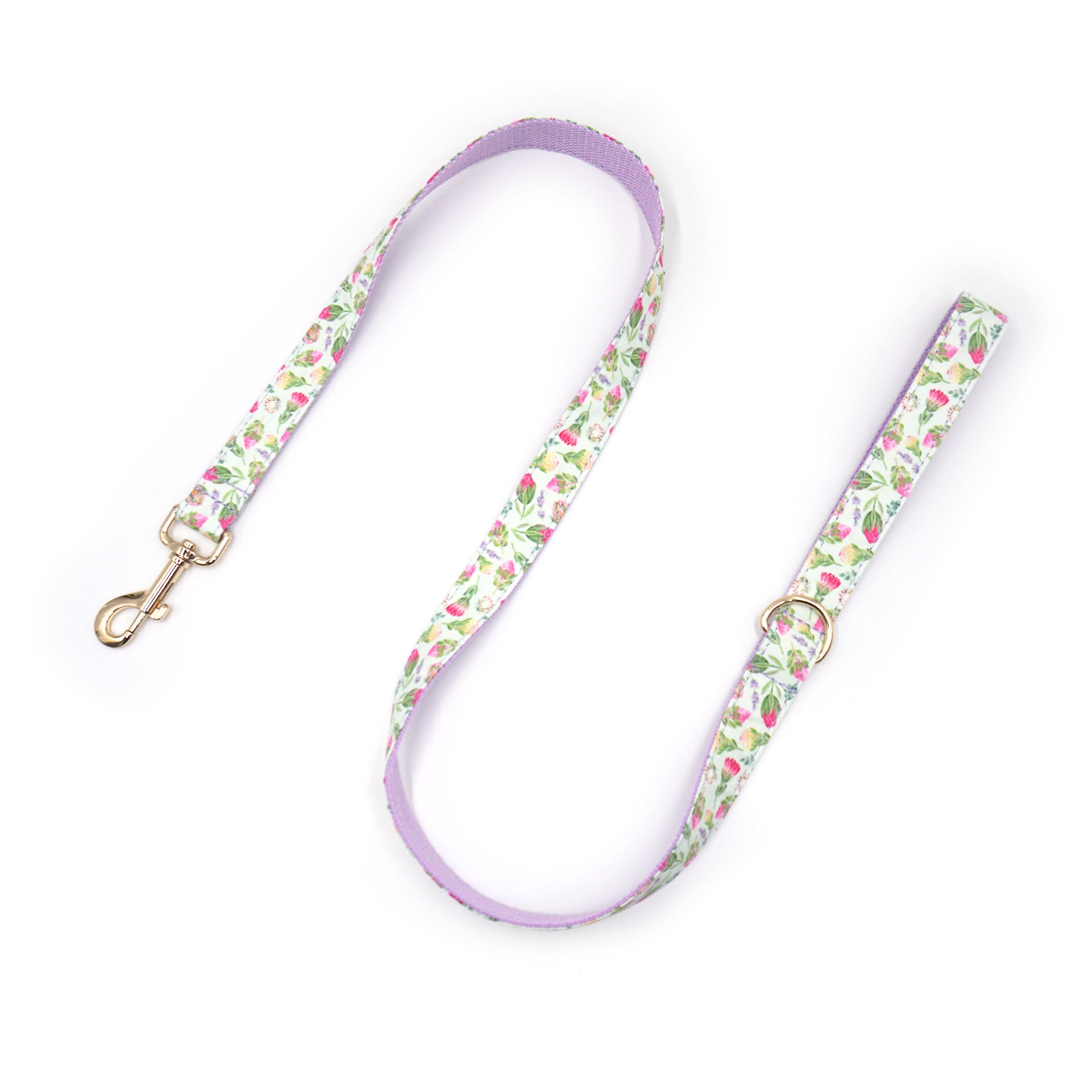 Printed Leash Pet Collar