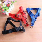 Dog Harness