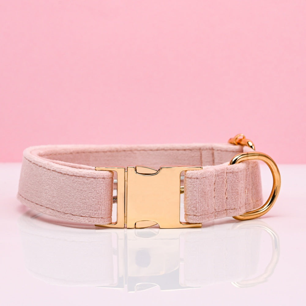 Pet Dog Collar New