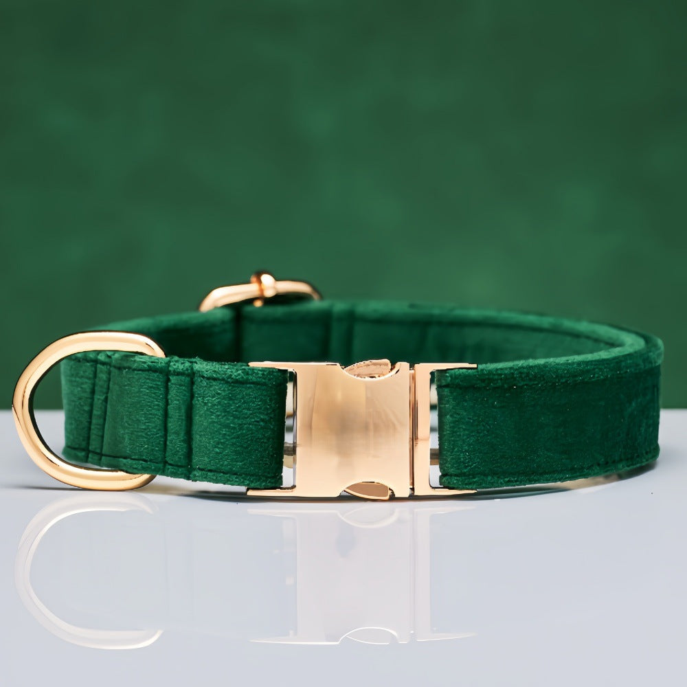 Pet Dog Collar New
