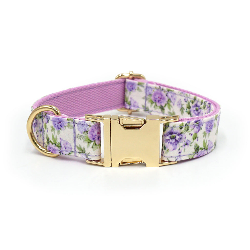 Printed Leash Pet Collar