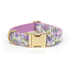 Printed Leash Pet Collar