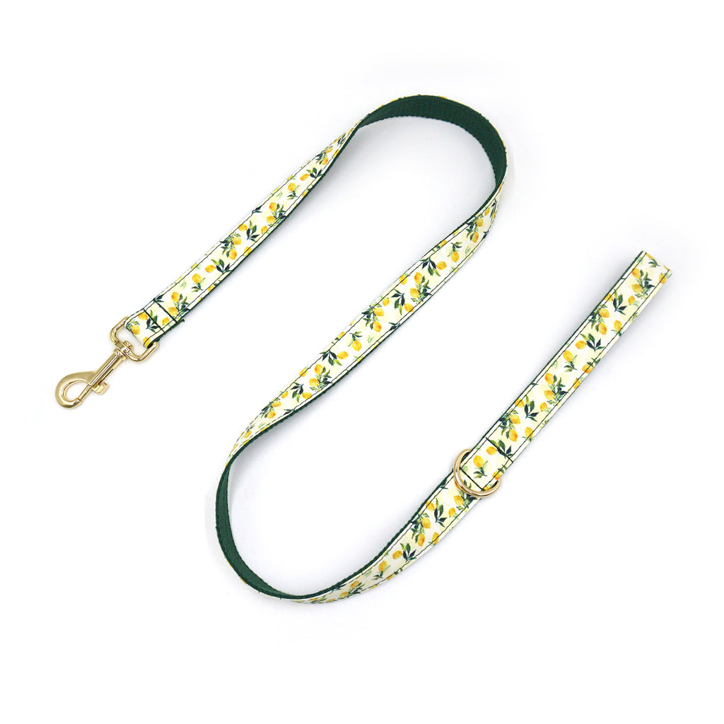 Printed Leash Pet Collar