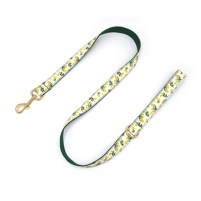 Printed Leash Pet Collar Hover Image