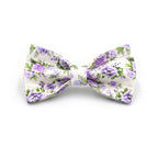 Printed Leash Pet Collar