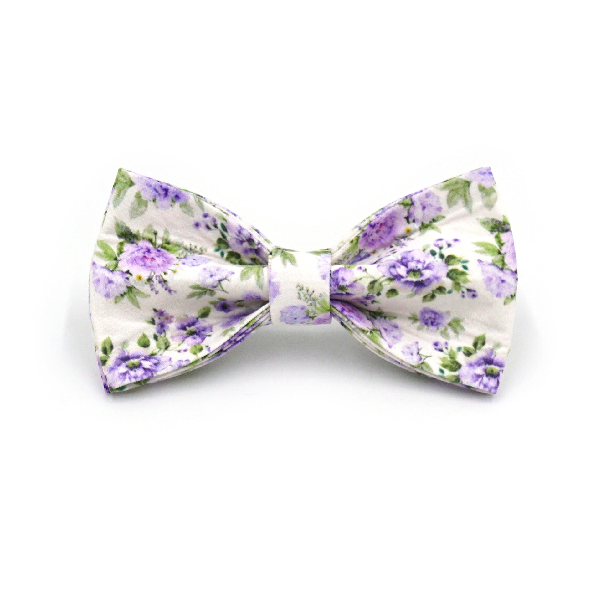 Printed Leash Pet Collar