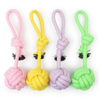 Pet Supplies Factory