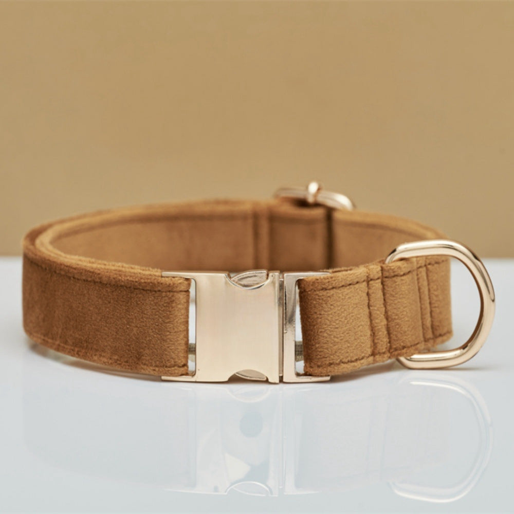 Pet Dog Collar New