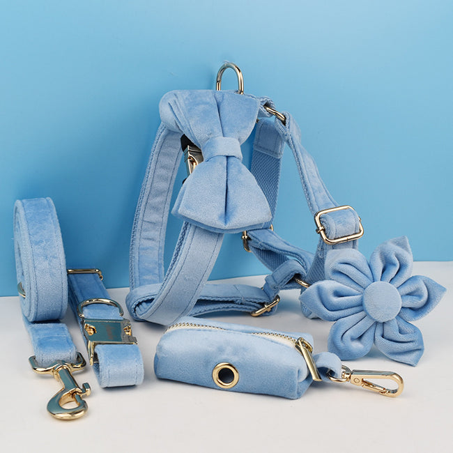 Sky Blue Dog Collar Leash Harness Hover Image