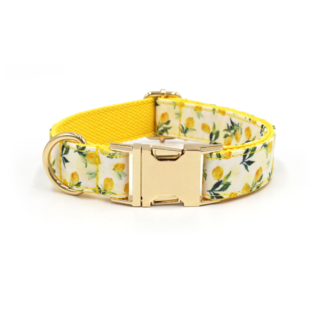 Printed Leash Pet Collar