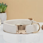 Pet Dog Collar New