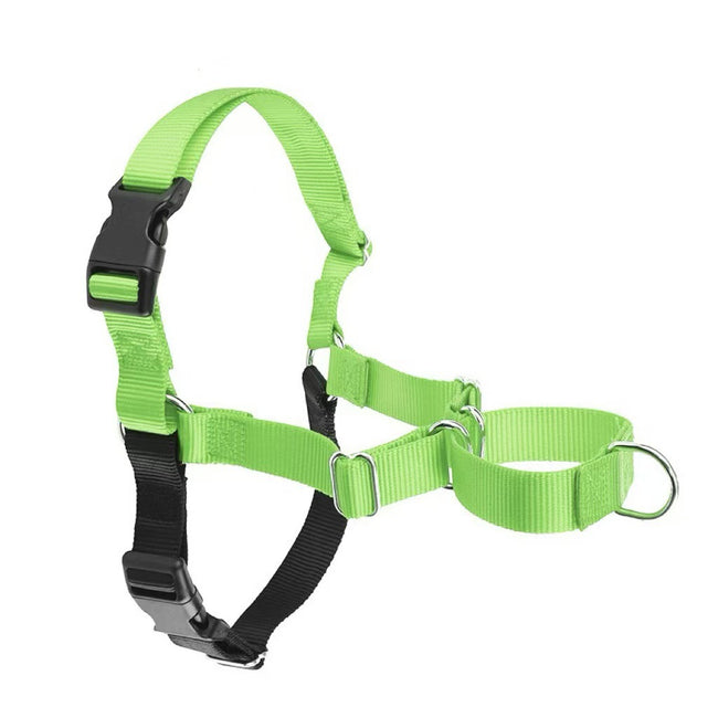 Hot-Selling Dog Harness Hover Image