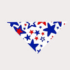 New European And American Pet Triangle Scarf