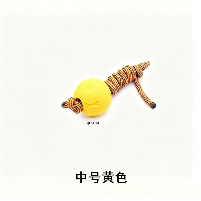 Pet Toy Ball Training Ball