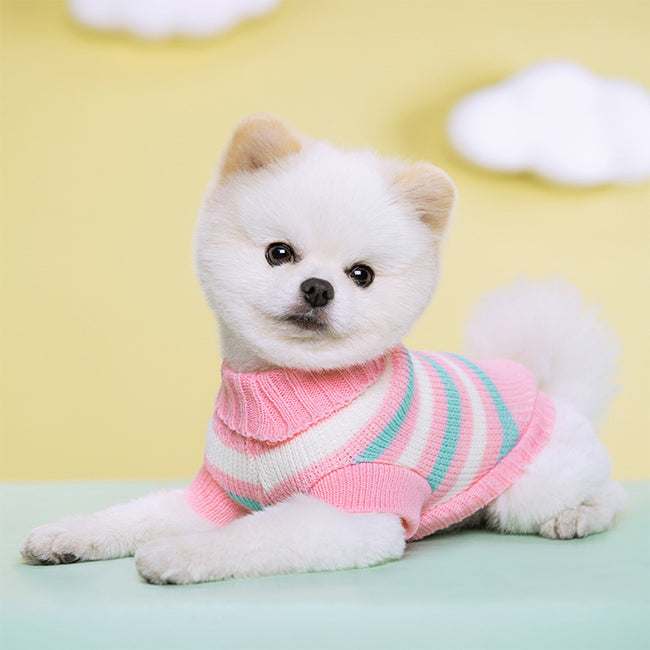 Autumn And Winter Pet Clothes Main Image