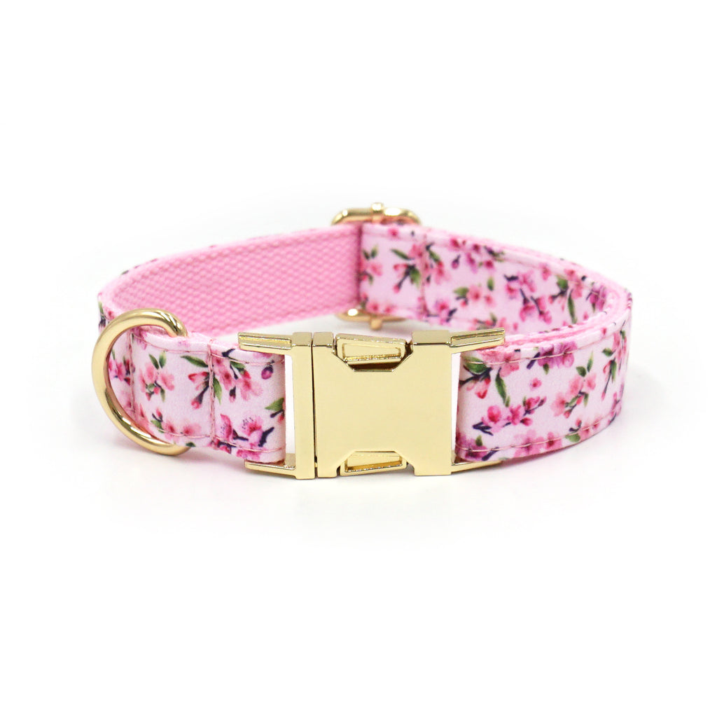 Printed Leash Pet Collar