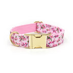 Printed Leash Pet Collar