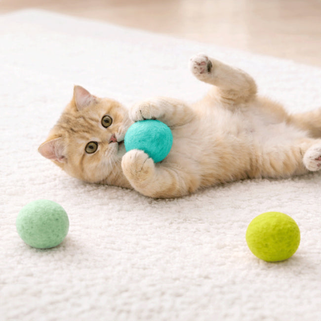 Parji Wool Ball Cat Toy Chases And Plays Main Image