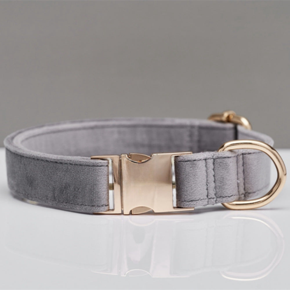 Pet Dog Collar New