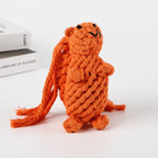 Manufacturer Pet Toy Dog