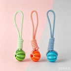 Pet Dog Toy