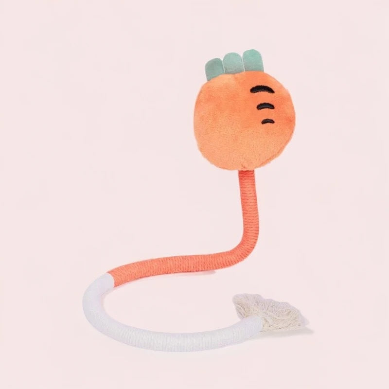 Pet Kitten Toys