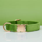 Pet Dog Collar New