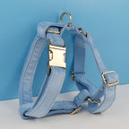 Sky Blue Dog Collar Leash Harness