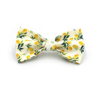Printed Leash Pet Collar
