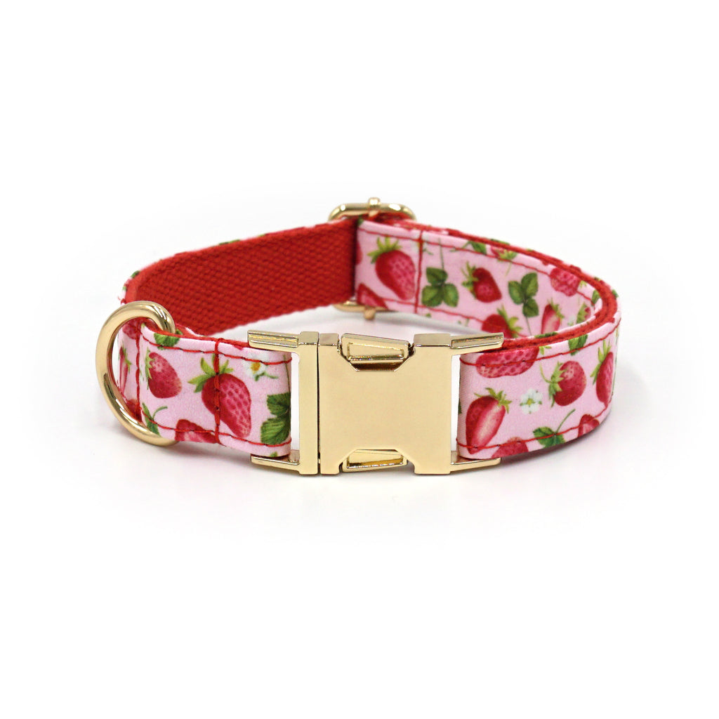 Printed Leash Pet Collar