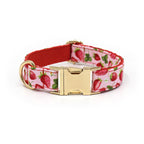 Printed Leash Pet Collar