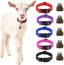 5-Color Goat Collar Bulk