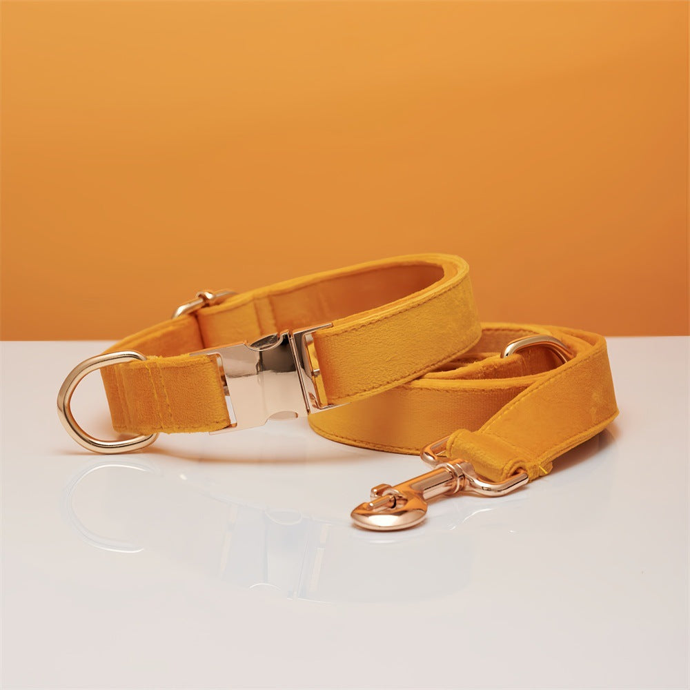 Pet Dog Collar New