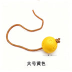 Pet Toy Ball Training Ball