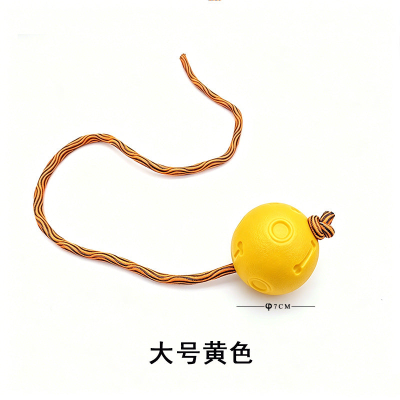 Pet Toy Ball Training Ball