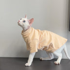 Hairless Cat Clothing Sphynx